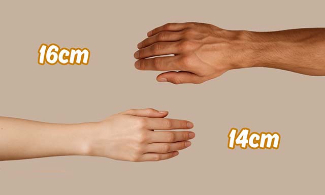 Người được xem là tay nhỏ khi có chu vi cổ tay từ 14 – 16cm