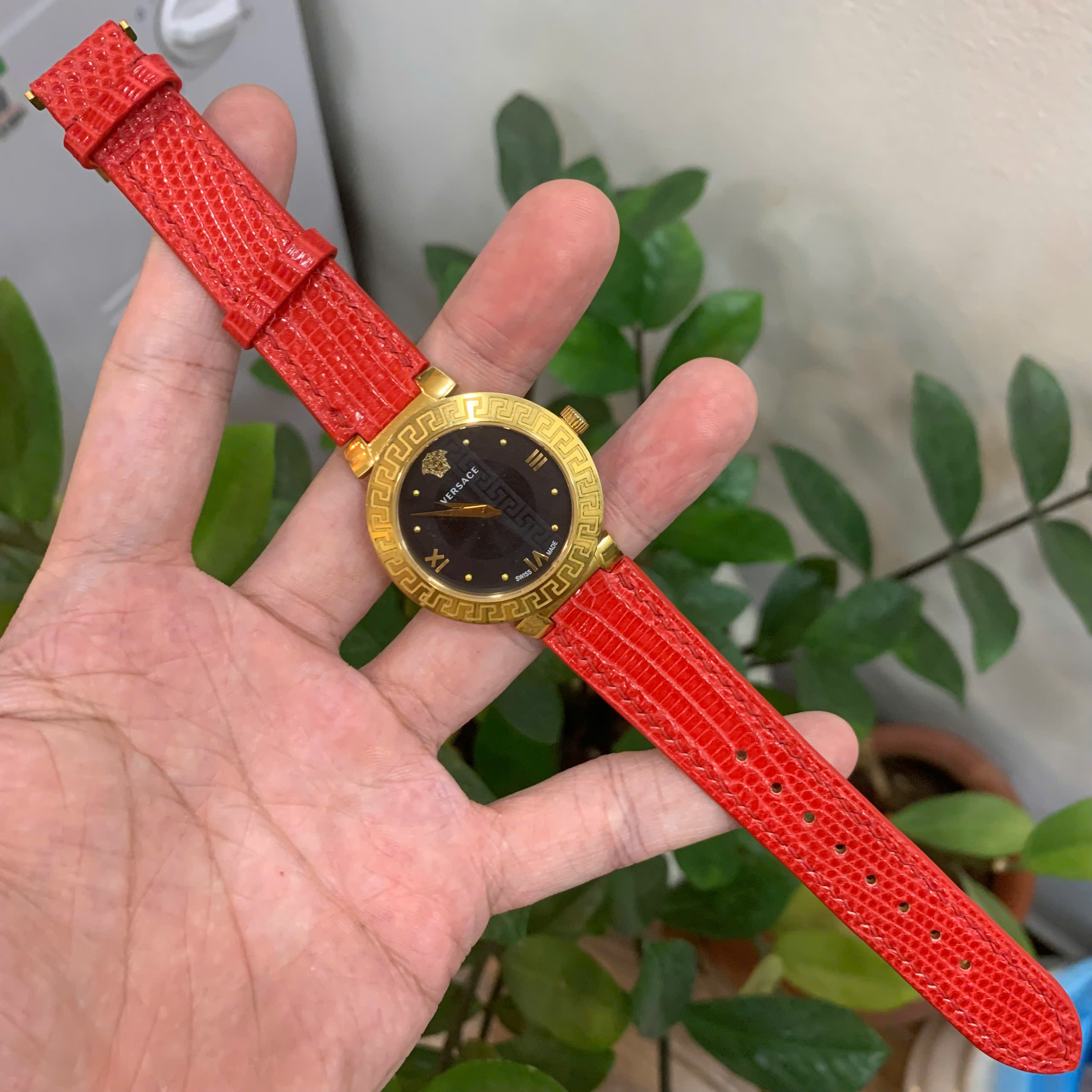 Dây đồng hồ nữ Versace Daphnis Da Kỳ Đà Cao Cấp