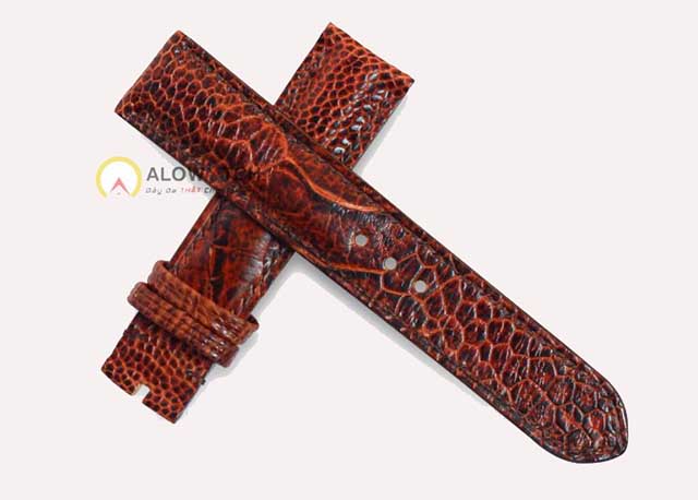 Alowatch là địa chỉ uy tín chuyên cung cấp dây đồng hồ da đà điểu chất lượng