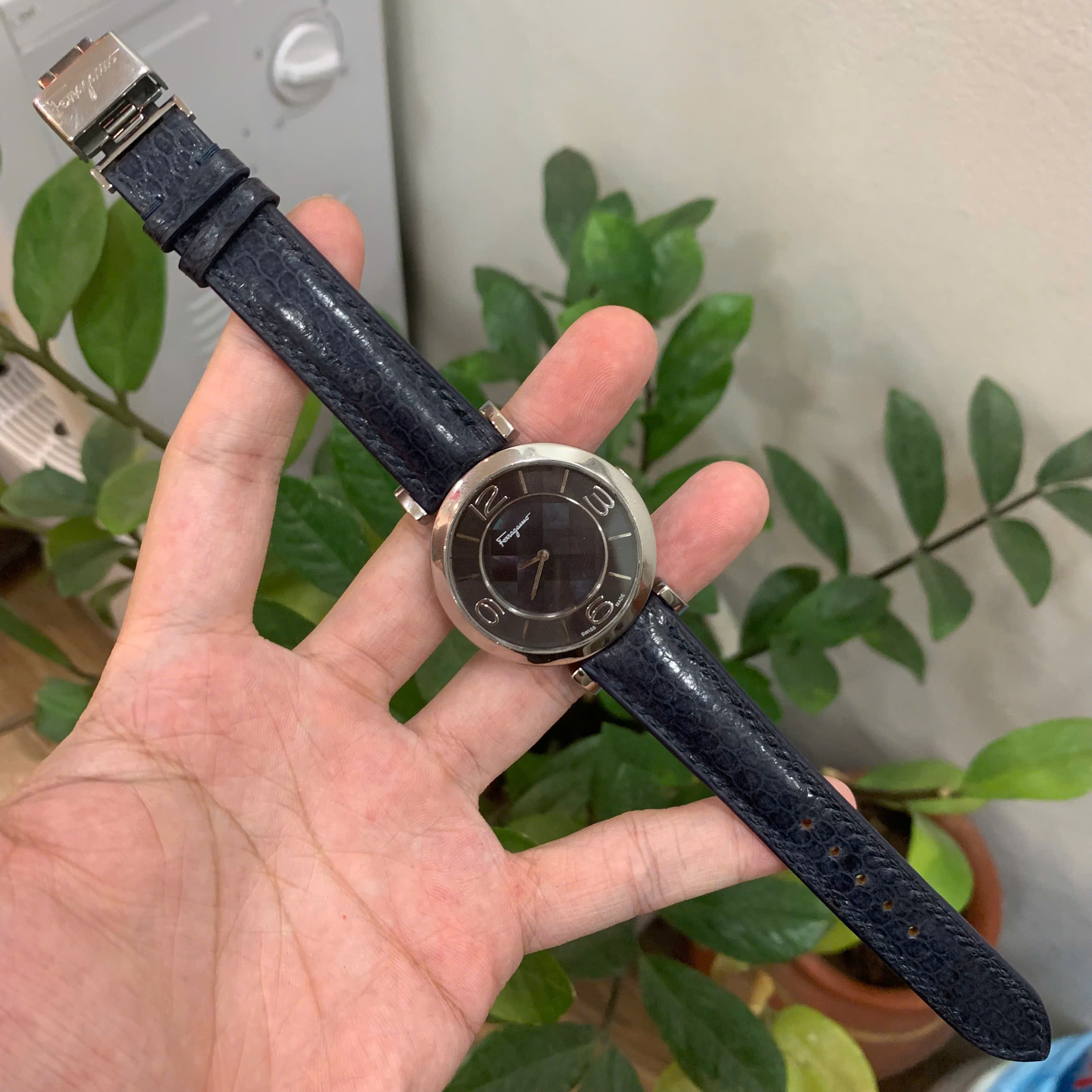 Dây Đồng Hồ Nữ Salvatore Ferragamo Da Cá Sấu Màu Đen