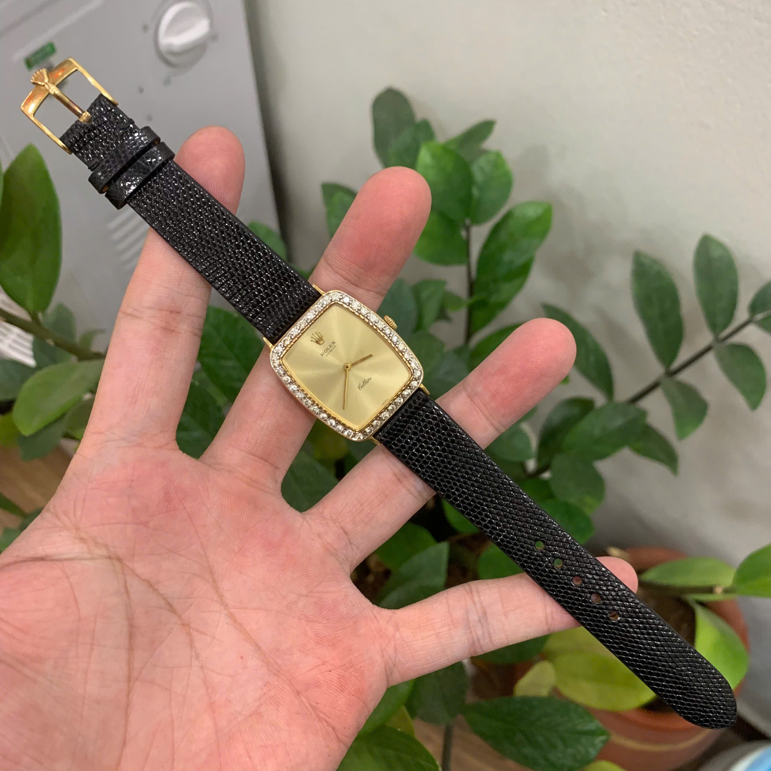 Dây Đồng Hồ Nữ ROLEX Lady Cellini Da Kỳ Đà Màu Đen Cao Cấp – Sang Trọng & Thanh Lịch