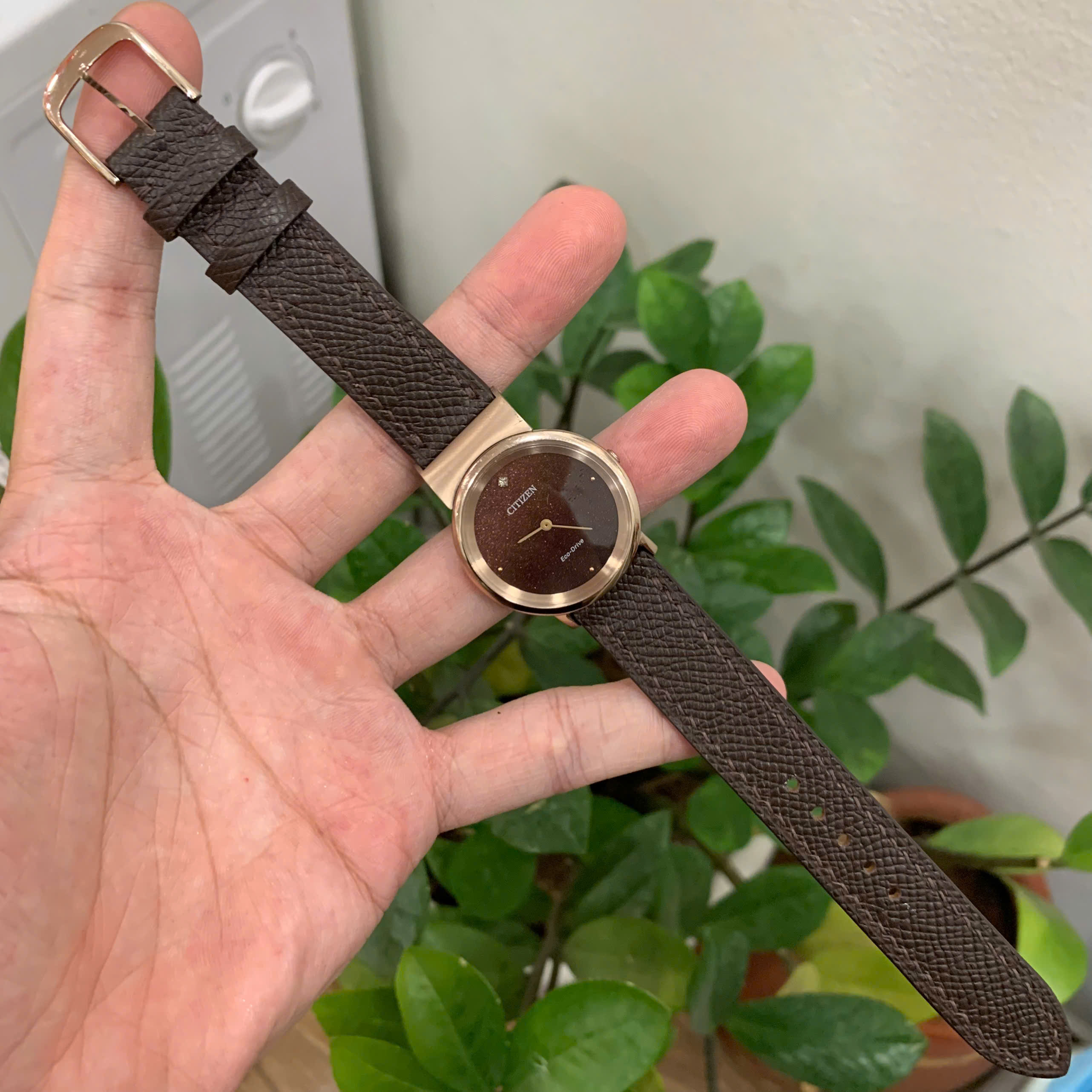 Dây Đồng Hồ Citizen Nữ EG7072 – Da Bò Màu Nâu Cao Cấp, Sang Trọng