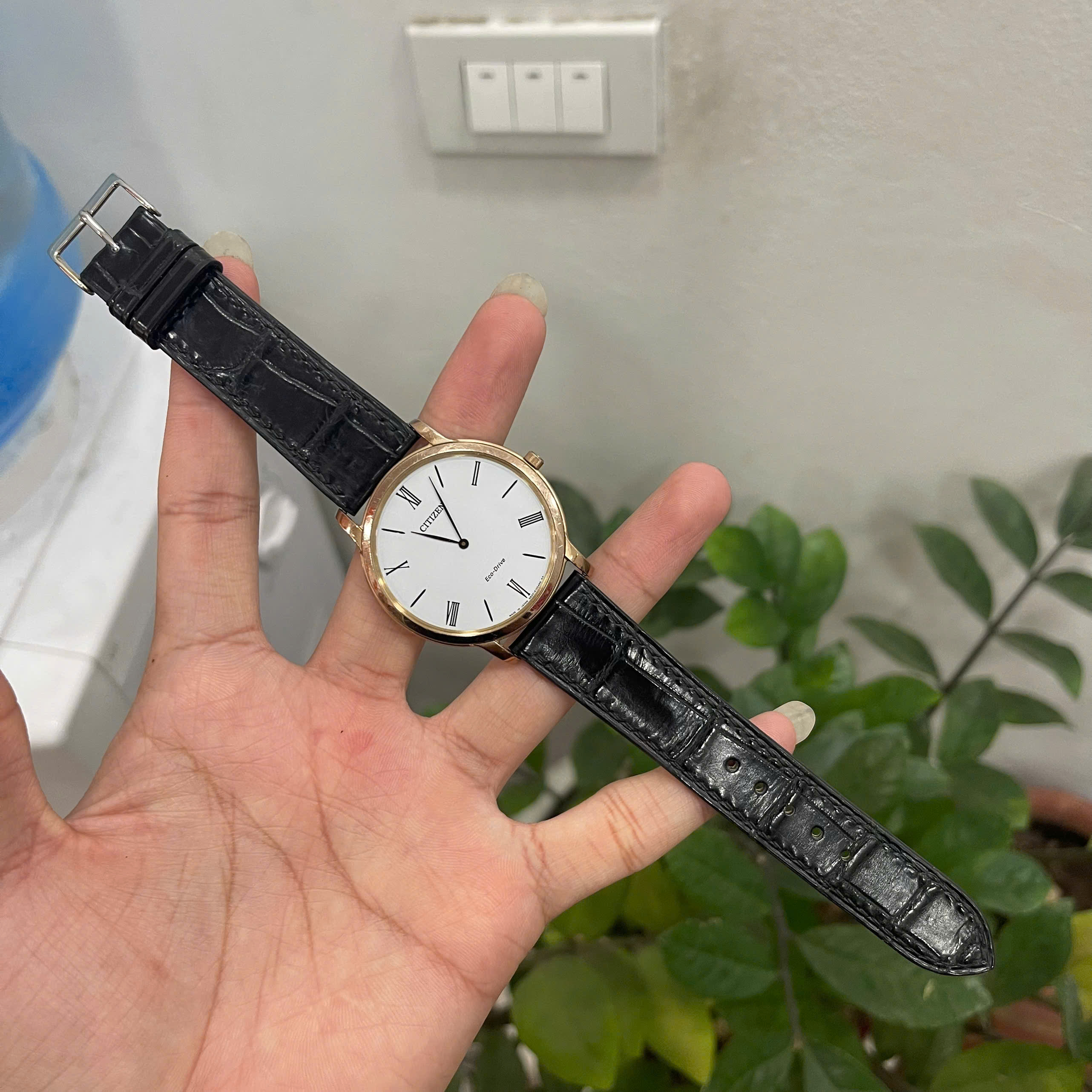 Dây đồng hồ Citizen Eco-Drive AR1113-12B da cá sấu màu đen sang trọng