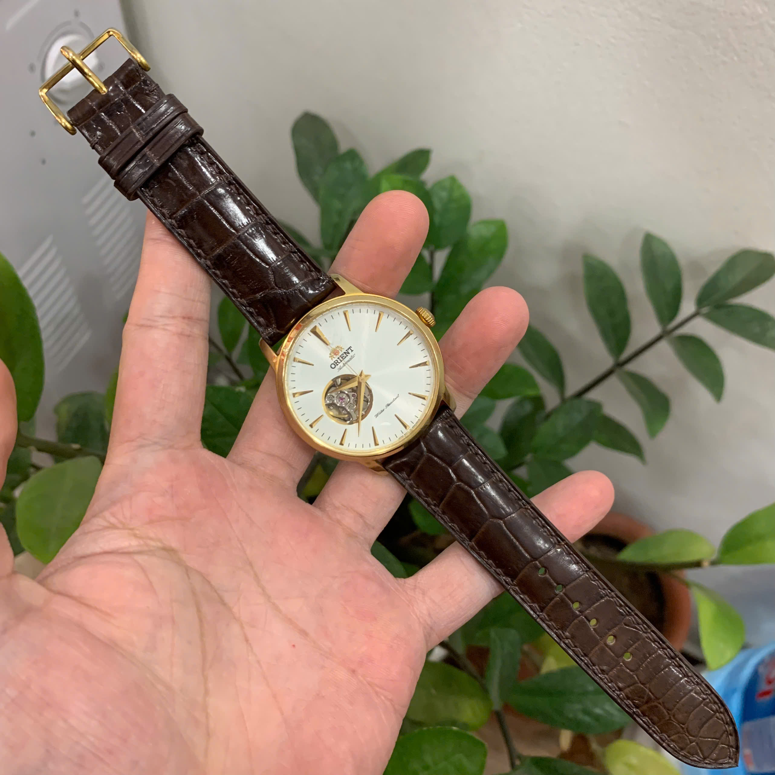 Dây đồng hồ Orient Bambino RA-AG0003S10B da cá sấu 2 mặt màu nâu