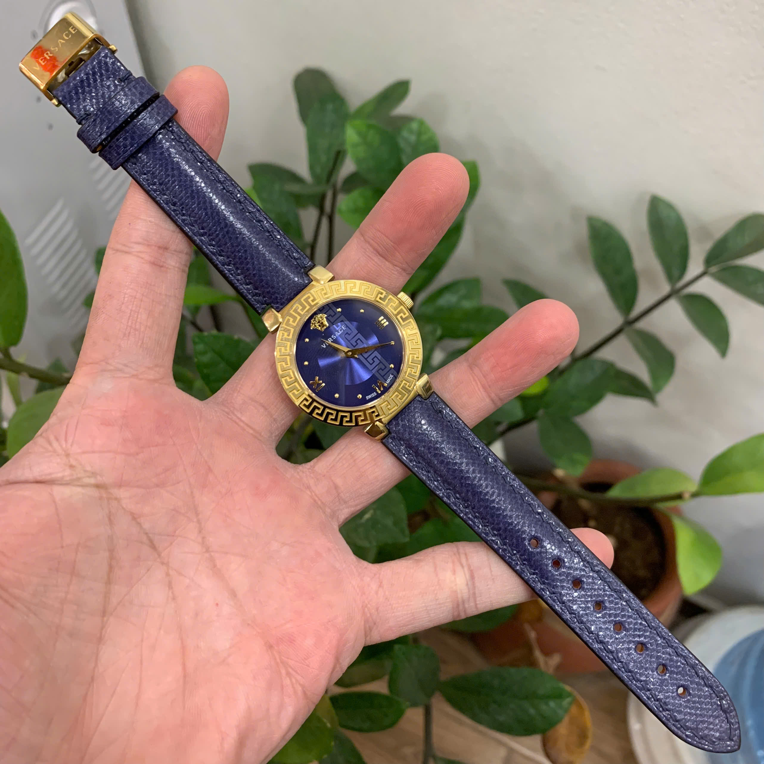 Dây Đồng Hồ Nữ Versace Daphnis V16020017 Da Rắn Biển Màu Xanh Than Sang Trọng, Đẳng Cấp