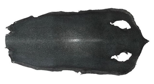 Da cá đuối sở hữu cấu trúc đặc biệt tạo nên độ bền đáng kinh ngạc.