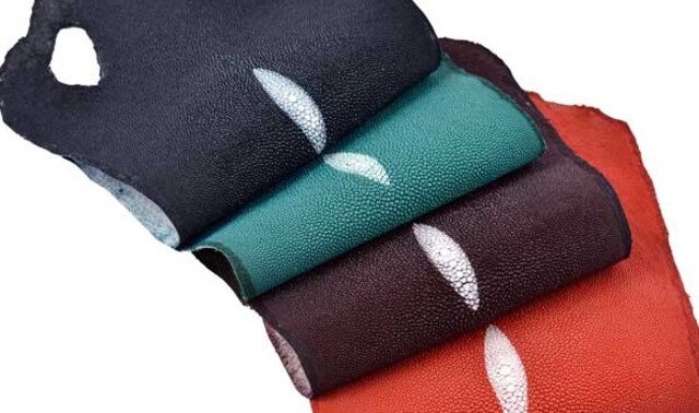 Da cá đuối với độ bền và khả năng chống hao mòn vượt trội.