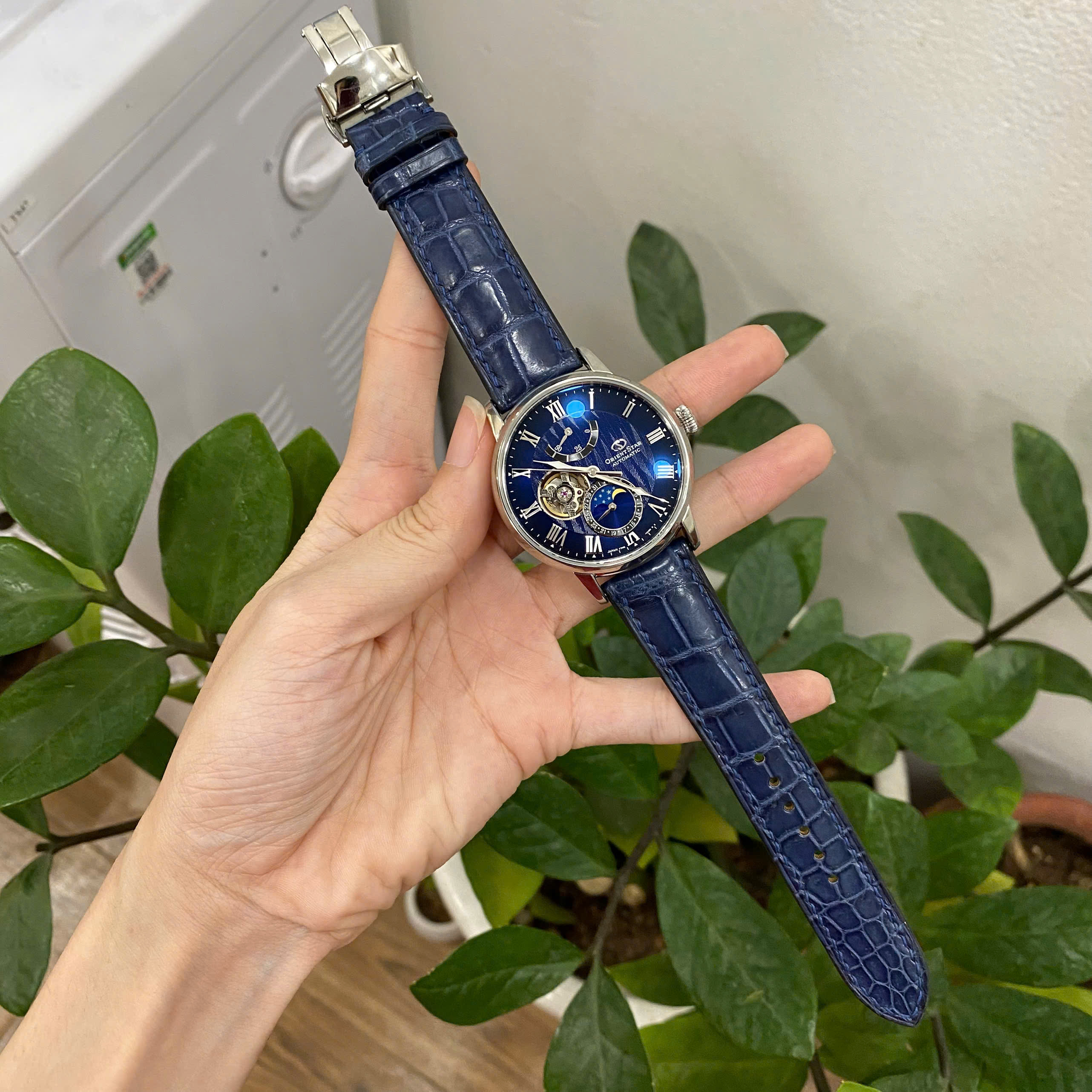 day dong ho orient star