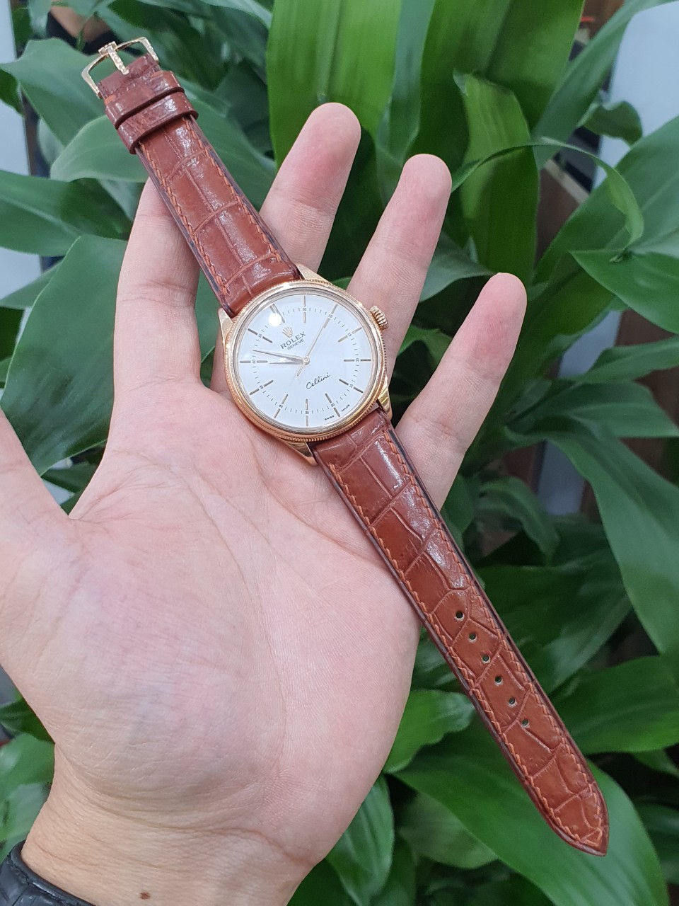 z4405268558684_abee04b71197e326434756495f802fa7