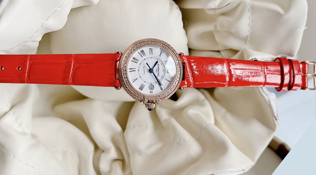 Thay dây đồng hồ Carnival sớm để bảo vệ và tăng trải nghiêm đeo đồng hồ.