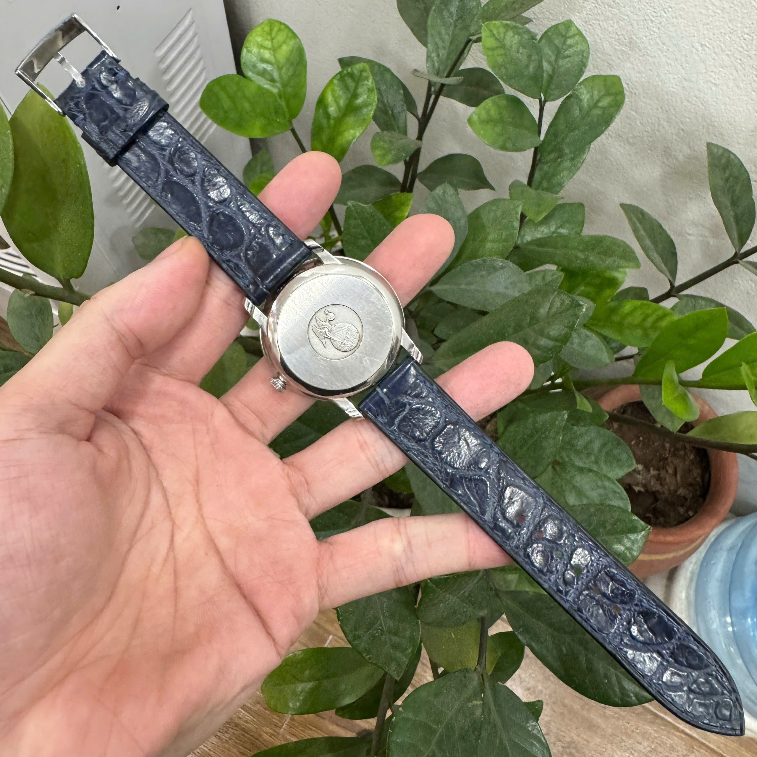 z7305006592681_5ca715d279368806280763179fbf00a7