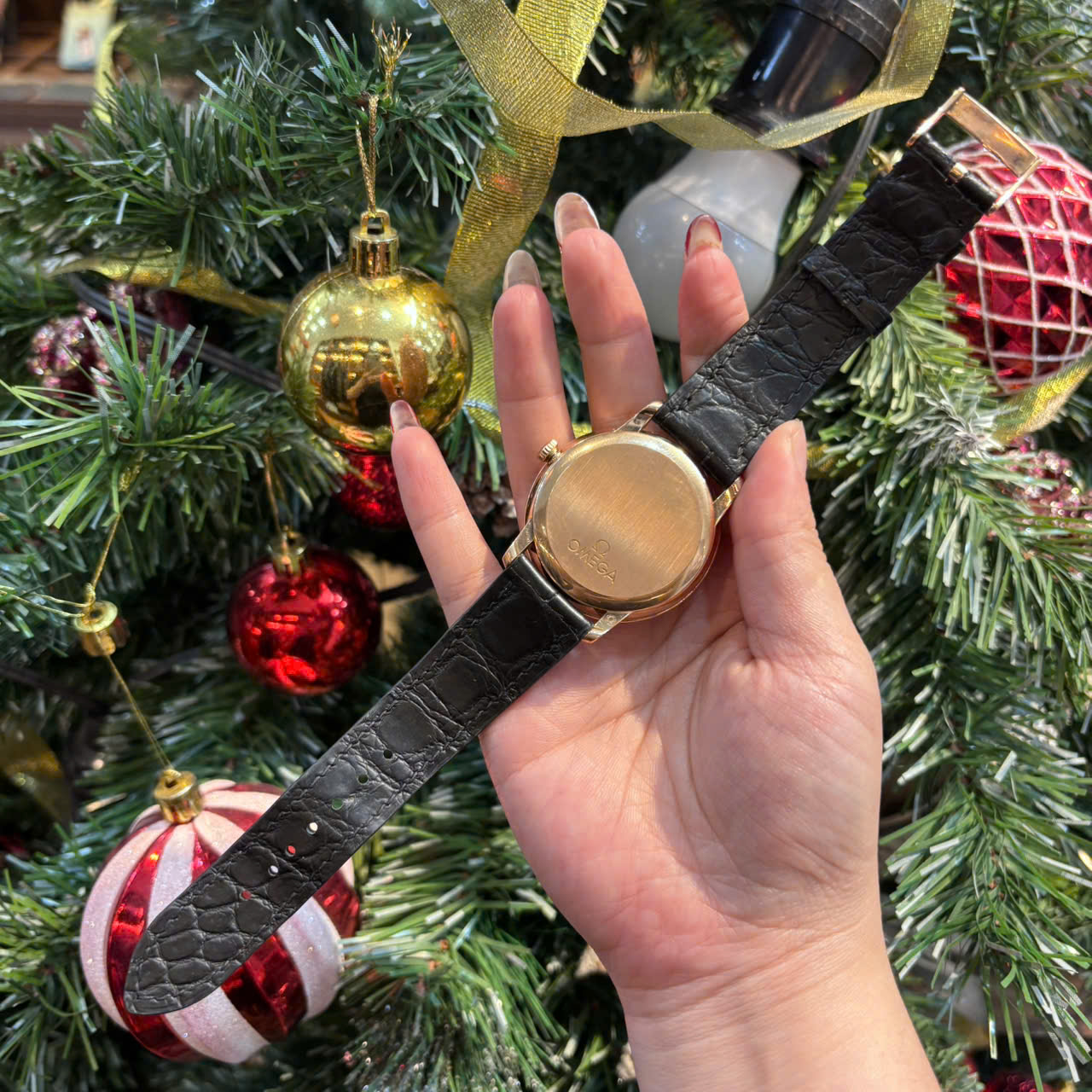 z7329719449499_4876abc6049931c0cec4780bbf78e173