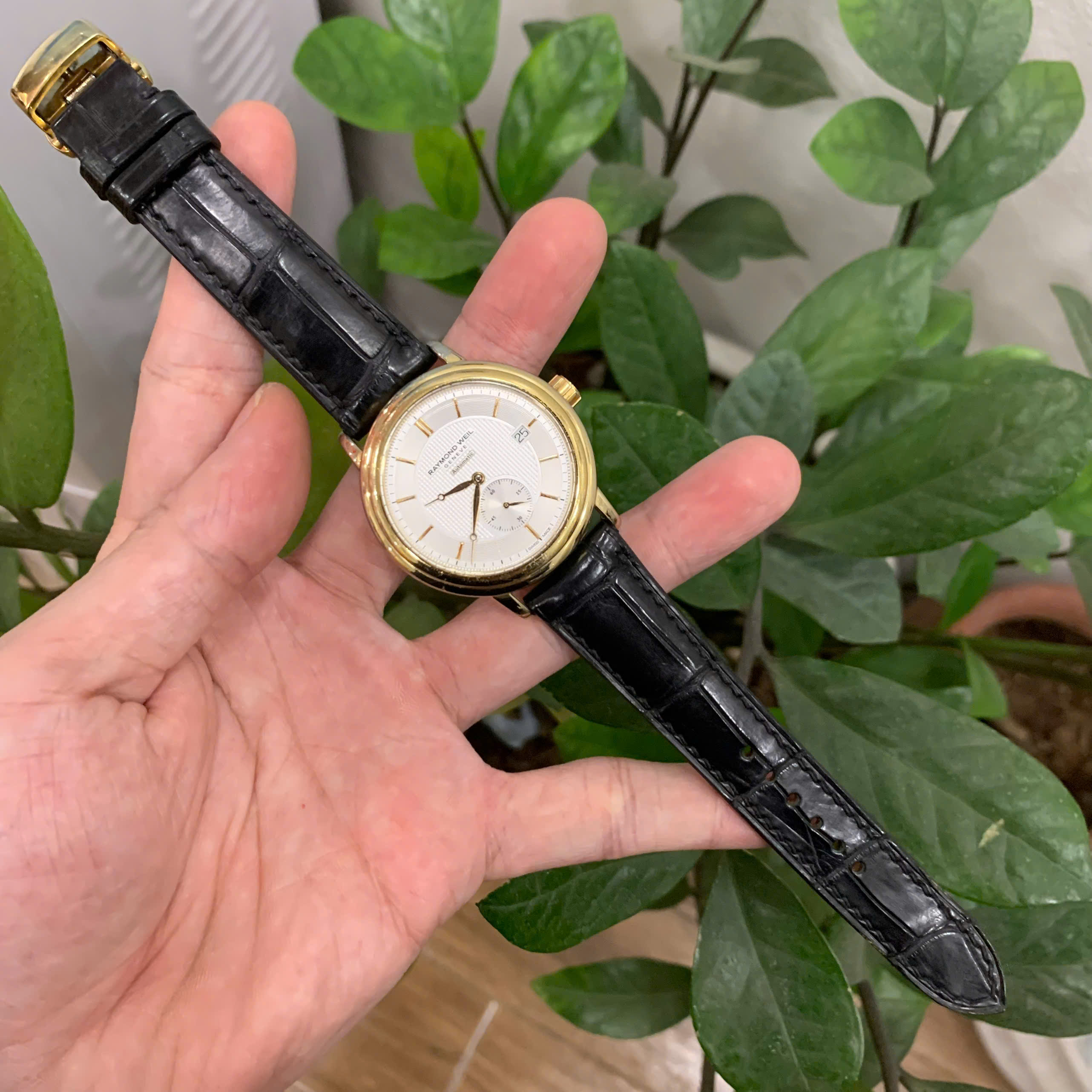 Dây Da Cá Sấu Raymond Weil Maestro 2237-PC-00659 Da cá sấu màu đen