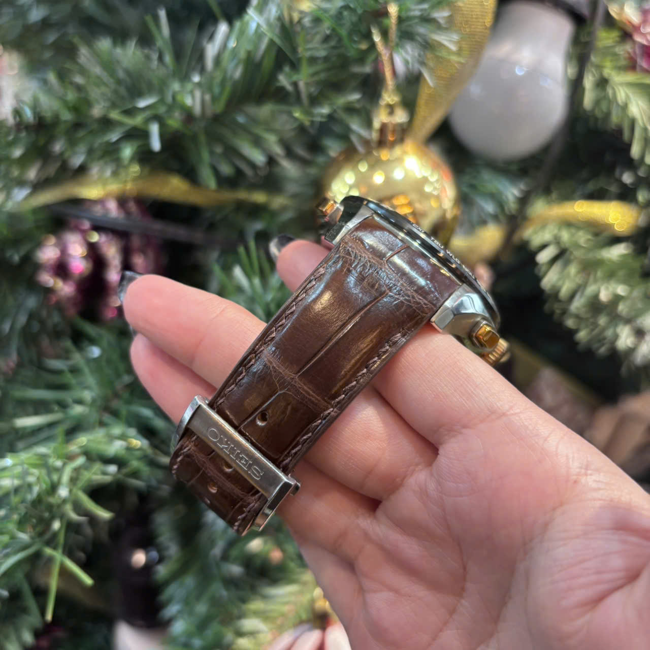 z7370584947335_5996c1537f36a0fc448e87811b32fcc2