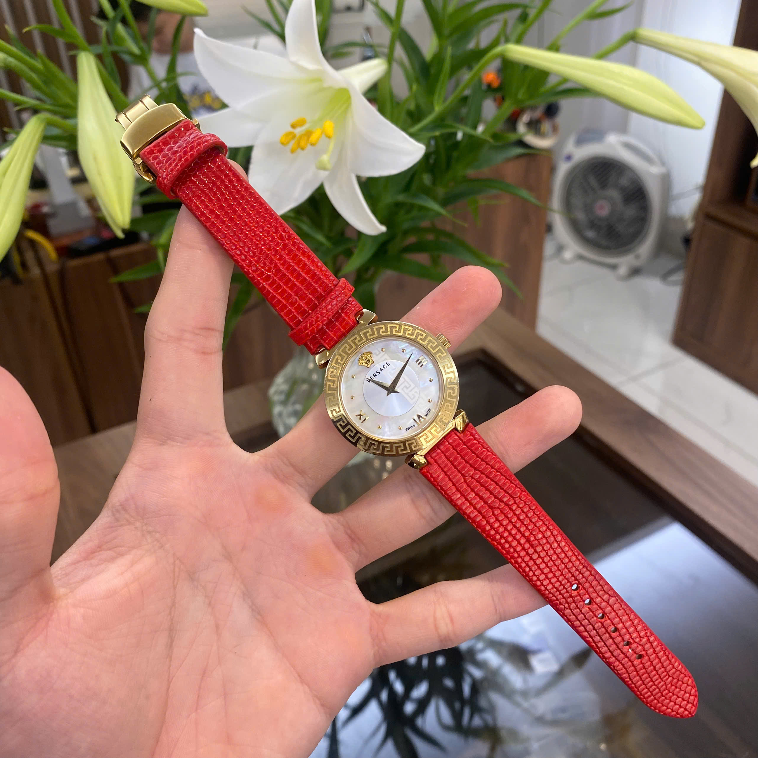 Da kì đà cao cấp cho Versace Daphnis – dây đỏ chế tác thủ công