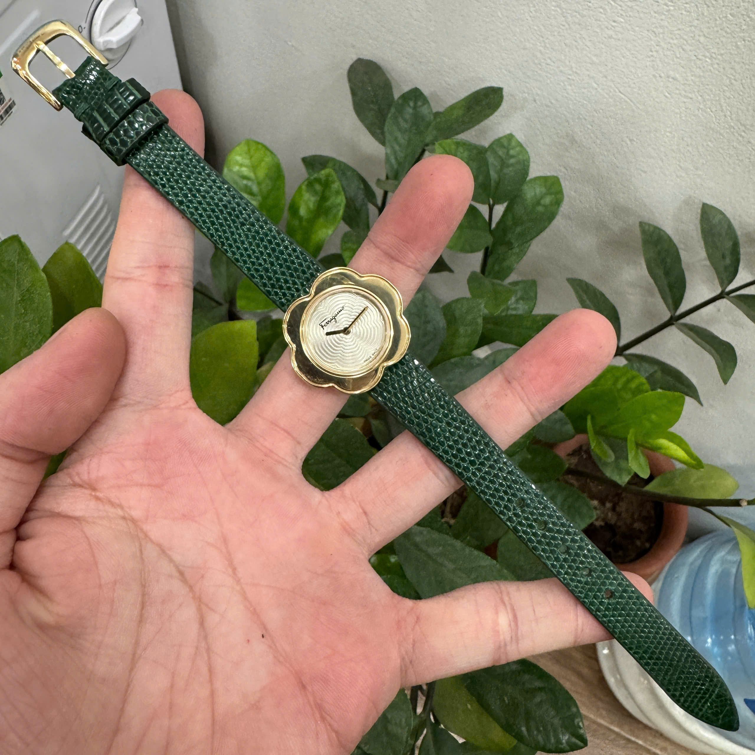 Thay Dây Da Kỳ Đà Màu Xanh Lá Salvatore Ferragamo Fiore Gold Cao Cấp Chế Tác Thủ Công
