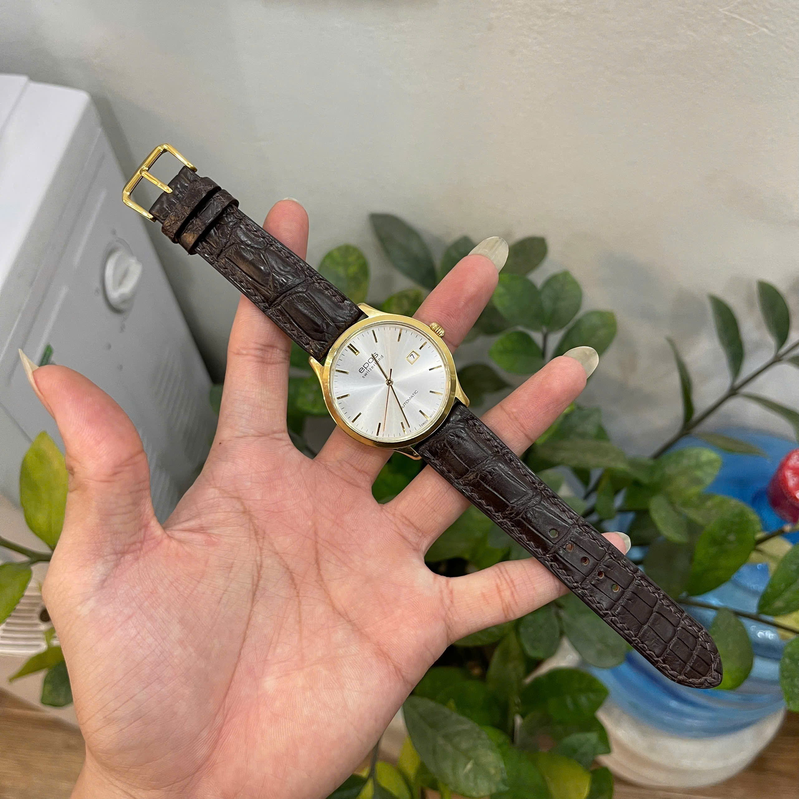 Thay Dây Da Cá Sấu Thủ Công Cao Cấp Cho Epos Swiss