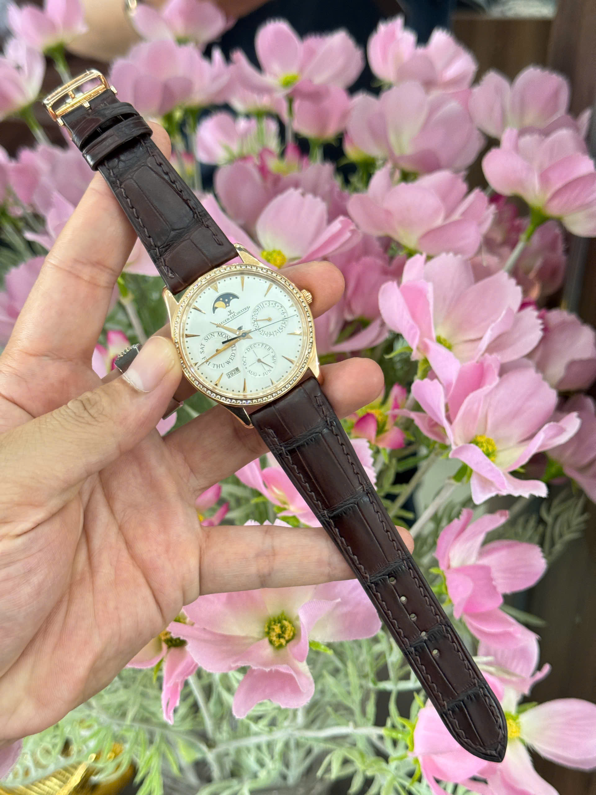 Thay Dây Da Cá Sấu Pháp Màu Nâu Jaeger-LeCoultre Master Ultra Thin Perpetual Calendar Cao Cấp Chế Tác Thủ Công